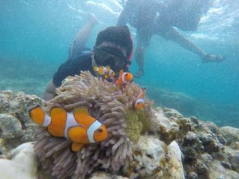 ADV150 Urban Exploride Ajak Bikers Snorkeling di Wisata Pahawang Island